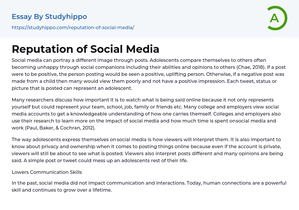 Reputation of Social Media Essay Example