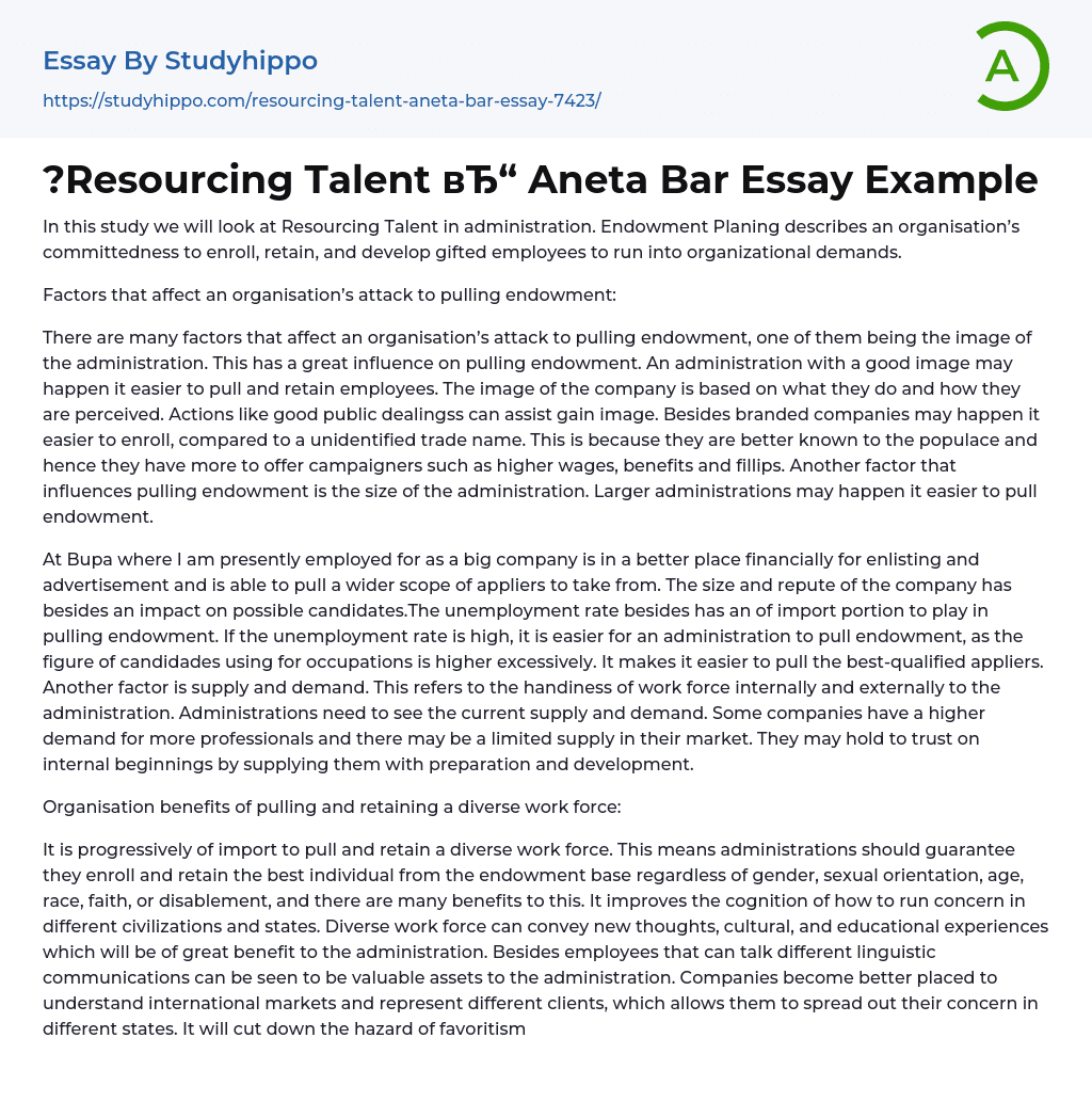 ?Resourcing Talent Aneta Bar Essay Example