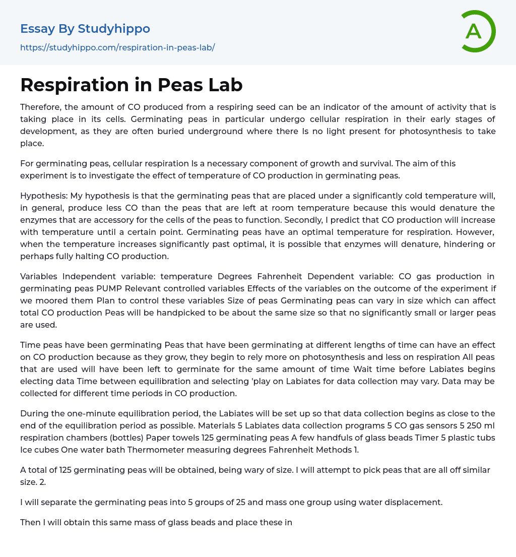 Respiration in Peas Lab Essay Example