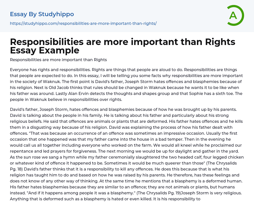 Responsibilities are more important than Rights Essay Example