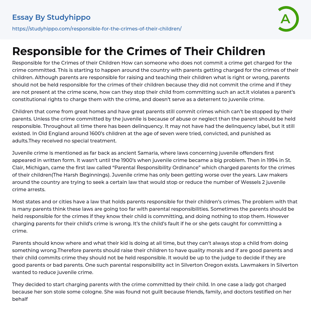 Responsible for the Crimes of Their Children Essay Example