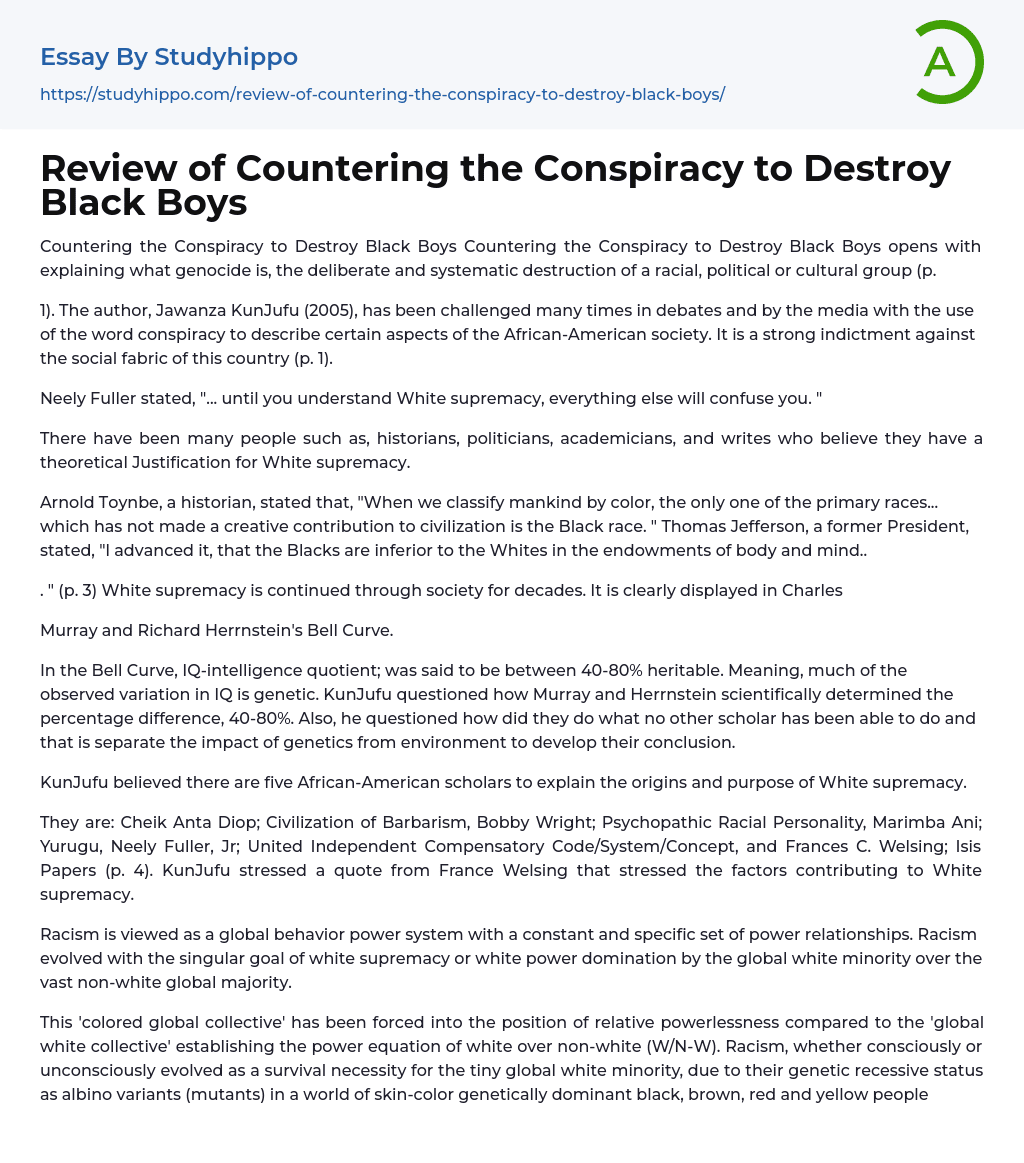Review of Countering the Conspiracy to Destroy Black Boys Essay Example