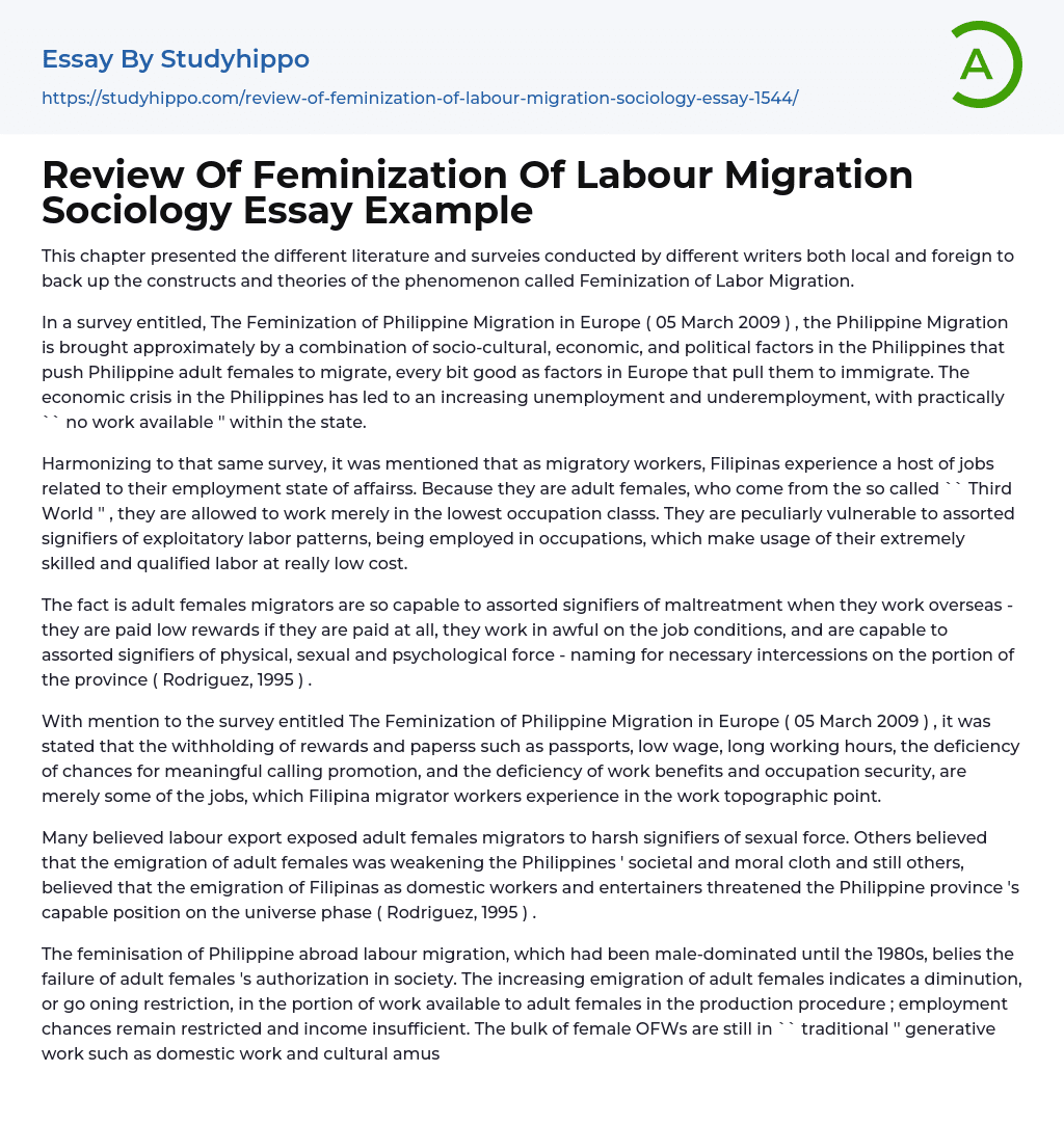 Review Of Feminization Of Labour Migration Sociology Essay Example