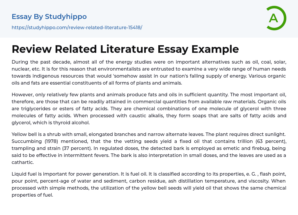 Review Related Literature Essay Example