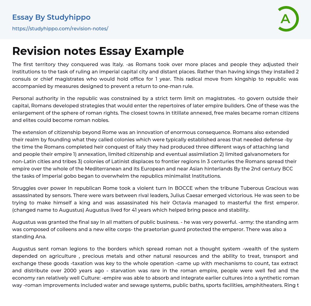 Revision notes Essay Example