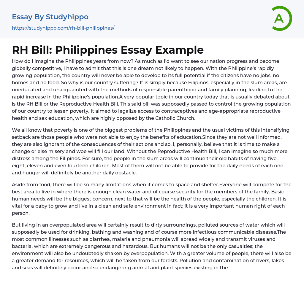 RH Bill: Philippines Essay Example