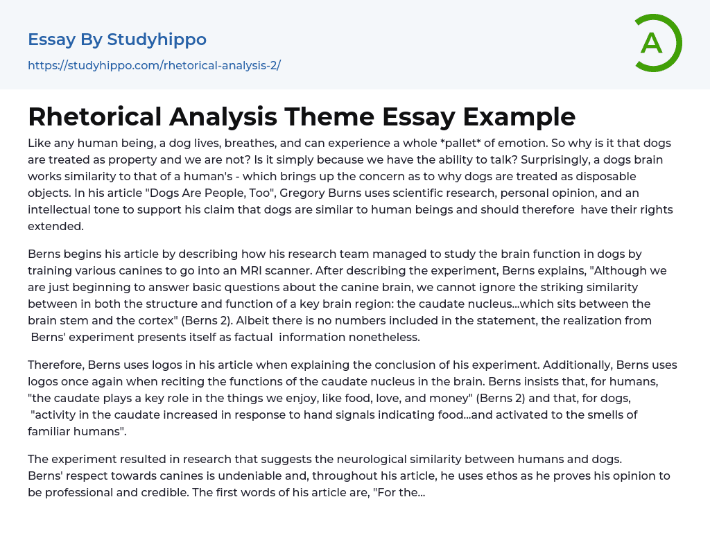 Rhetorical Analysis Theme Essay Example