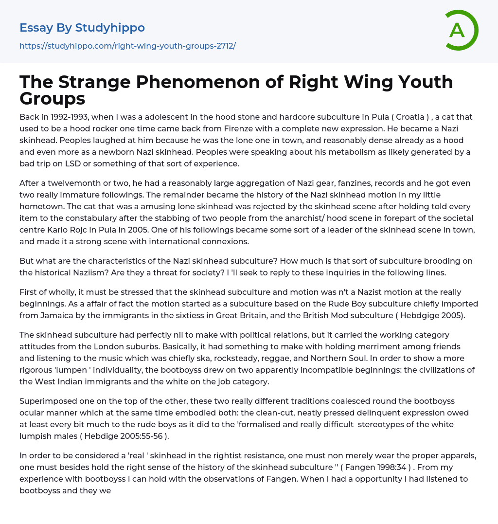 The Strange Phenomenon of Right Wing Youth Groups Essay Example