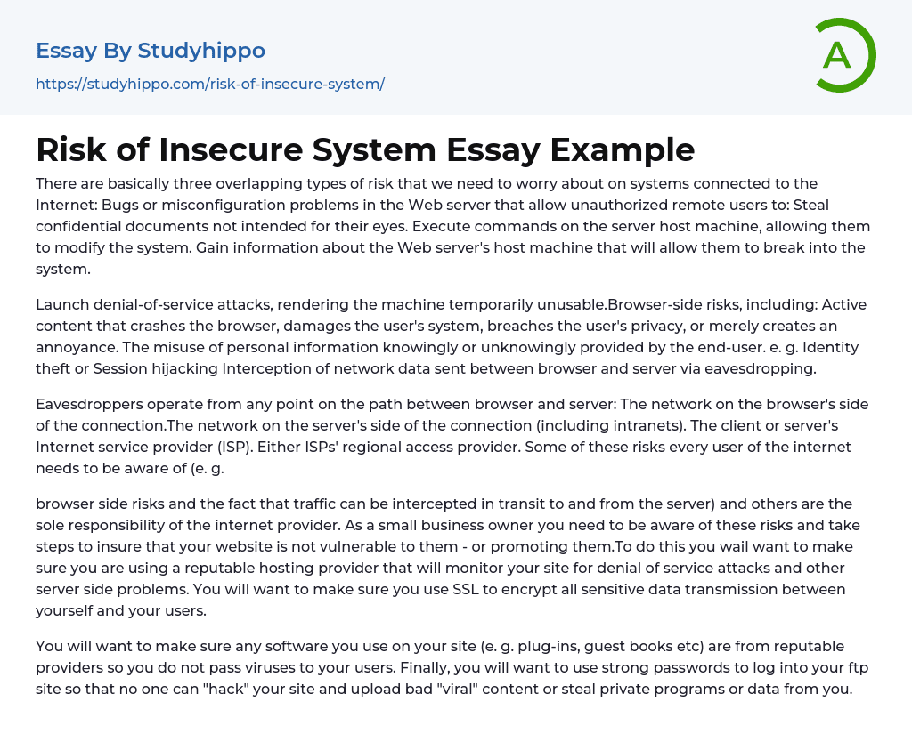 Risk of Insecure System Essay Example