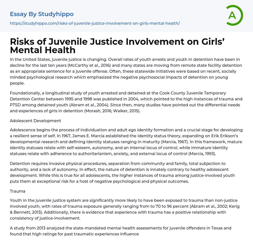 Risks of Juvenile Justice Involvement on Girls’ Mental Health Essay Example
