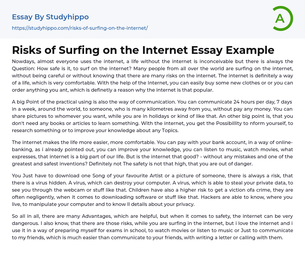 Risks of Surfing on the Internet Essay Example