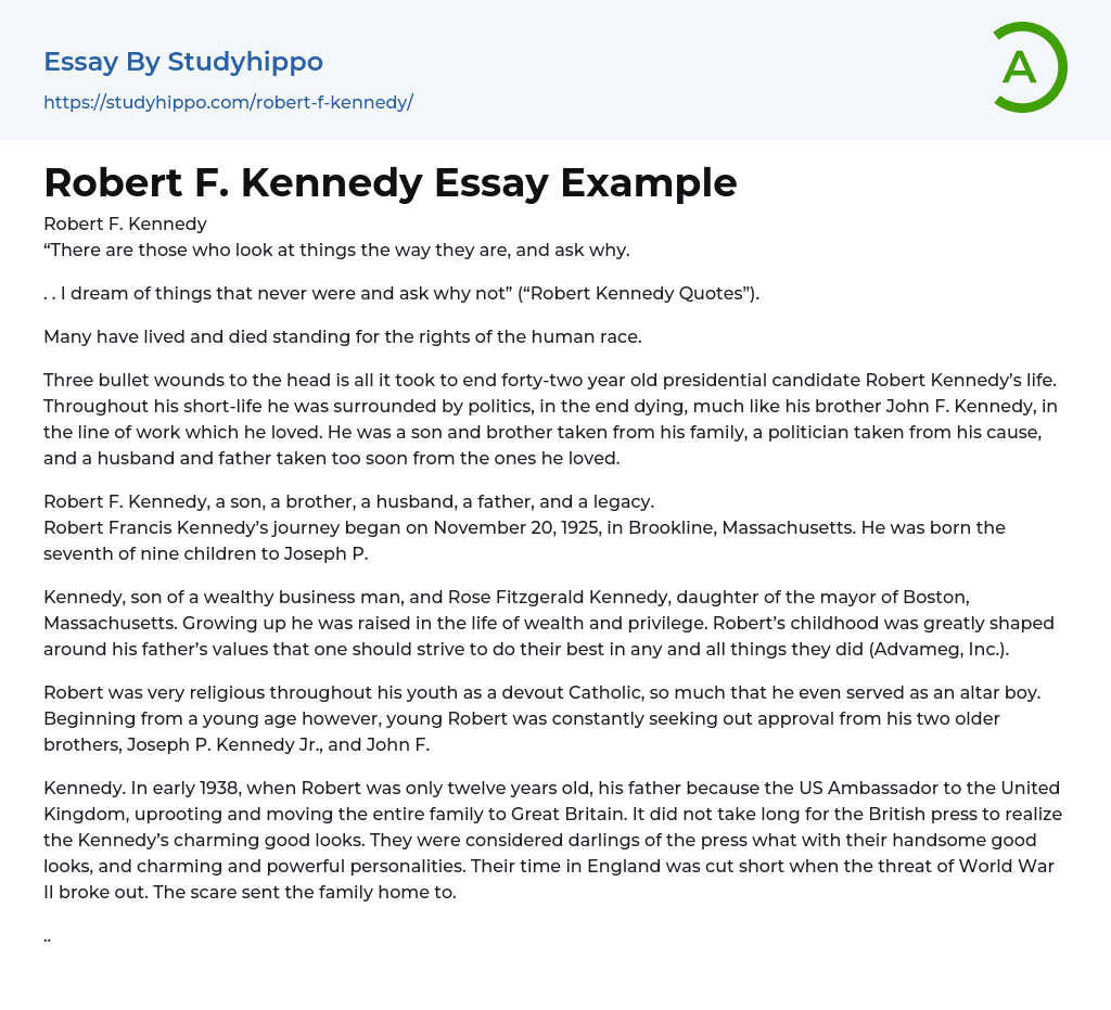 Robert F. Kennedy Essay Example