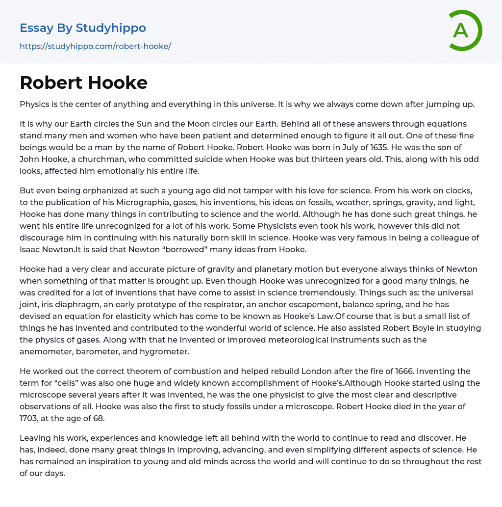 Robert Hooke Essay Example