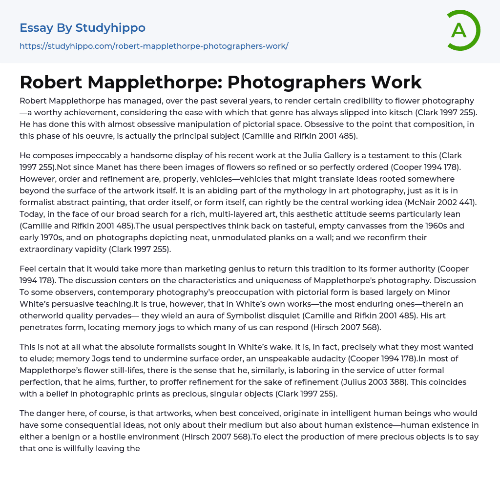 Robert Mapplethorpe: Photographers Work Essay Example
