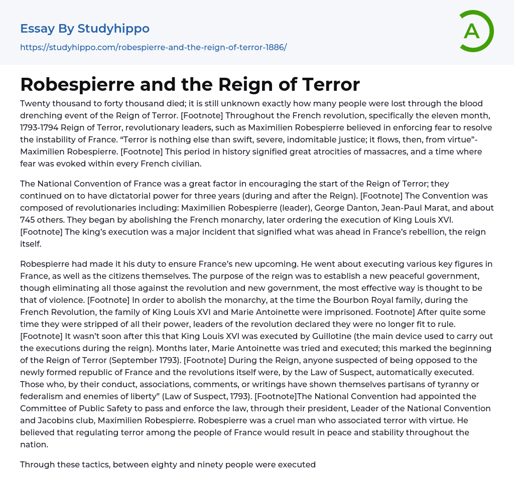 Robespierre and the Reign of Terror Essay Example
