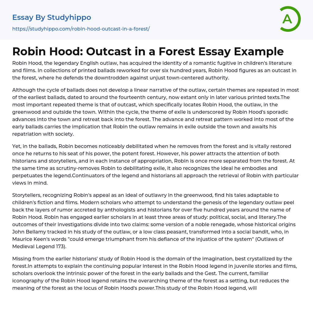 robin hood essay