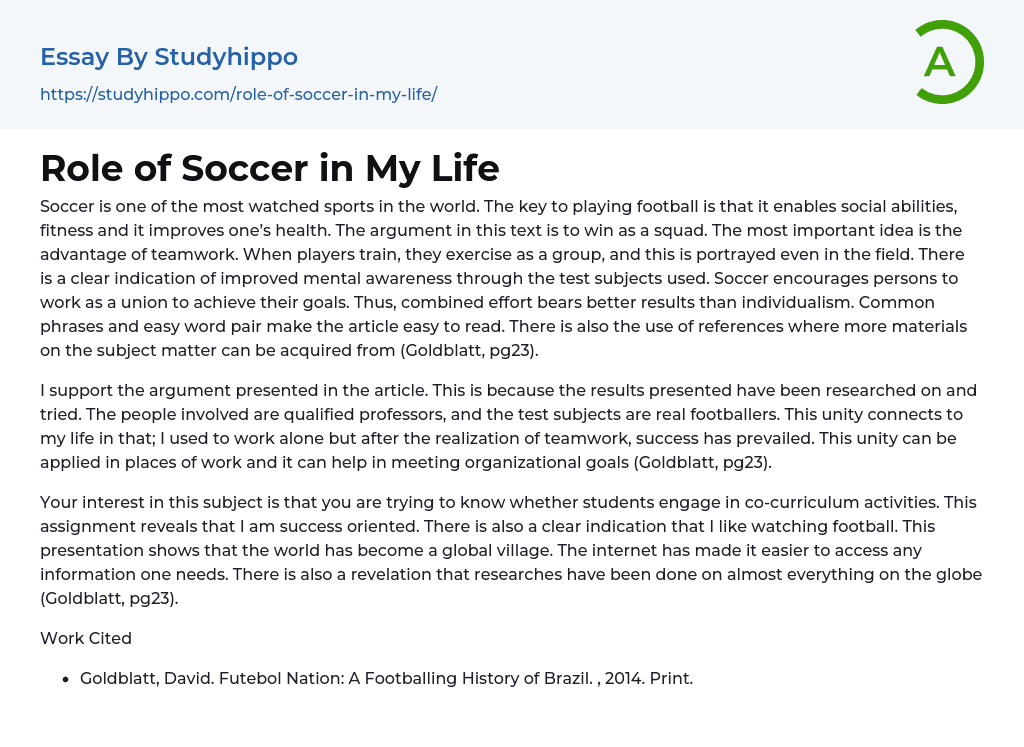 Role of Soccer in My Life Essay Example