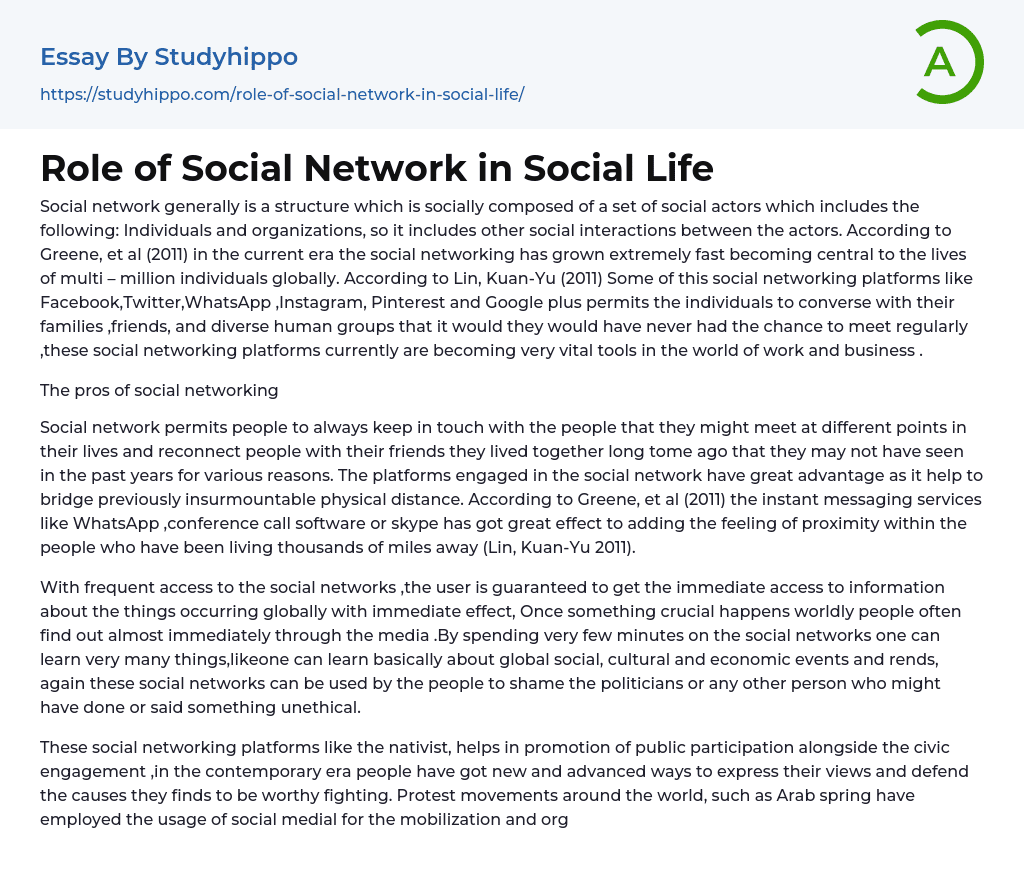 Role of Social Network in Social Life Essay Example