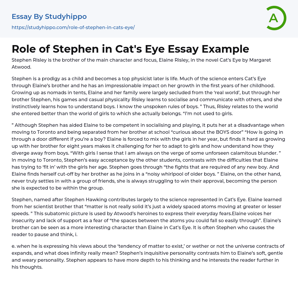 Role of Stephen in Cat’s Eye Essay Example
