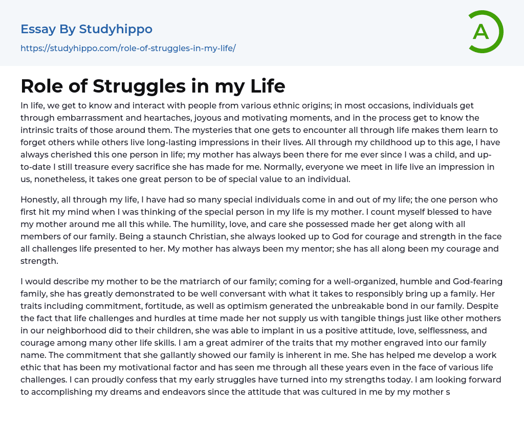 Role of Struggles in my Life Essay Example