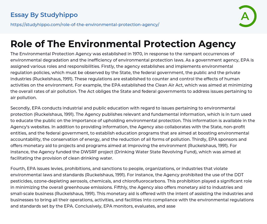 Role of The Environmental Protection Agency Essay Example