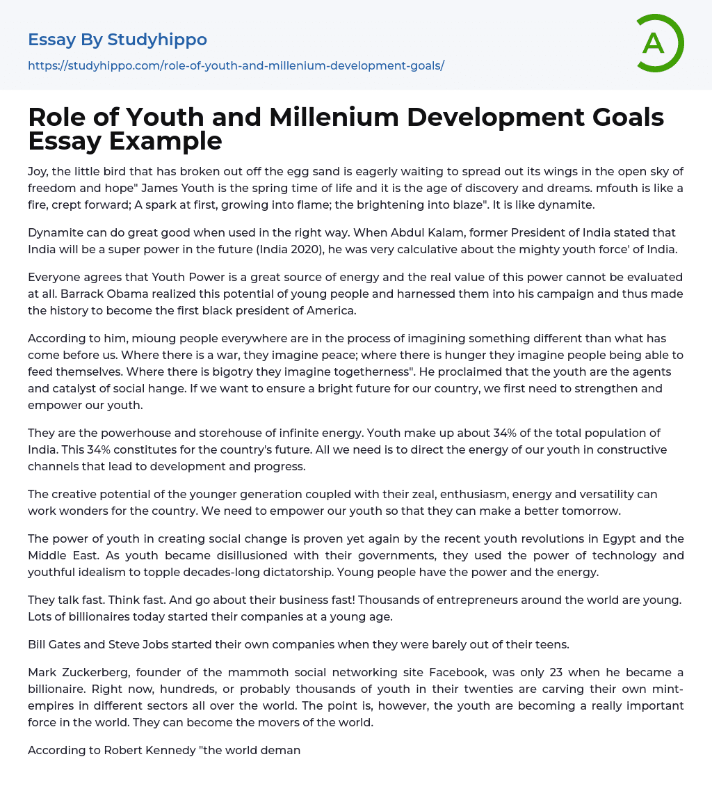 Role of Youth and Millenium Development Goals Essay Example