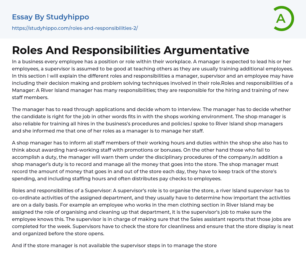 Roles And Responsibilities Argumentative Essay Example
