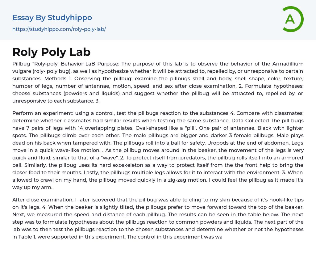 Roly Poly Lab Essay Example