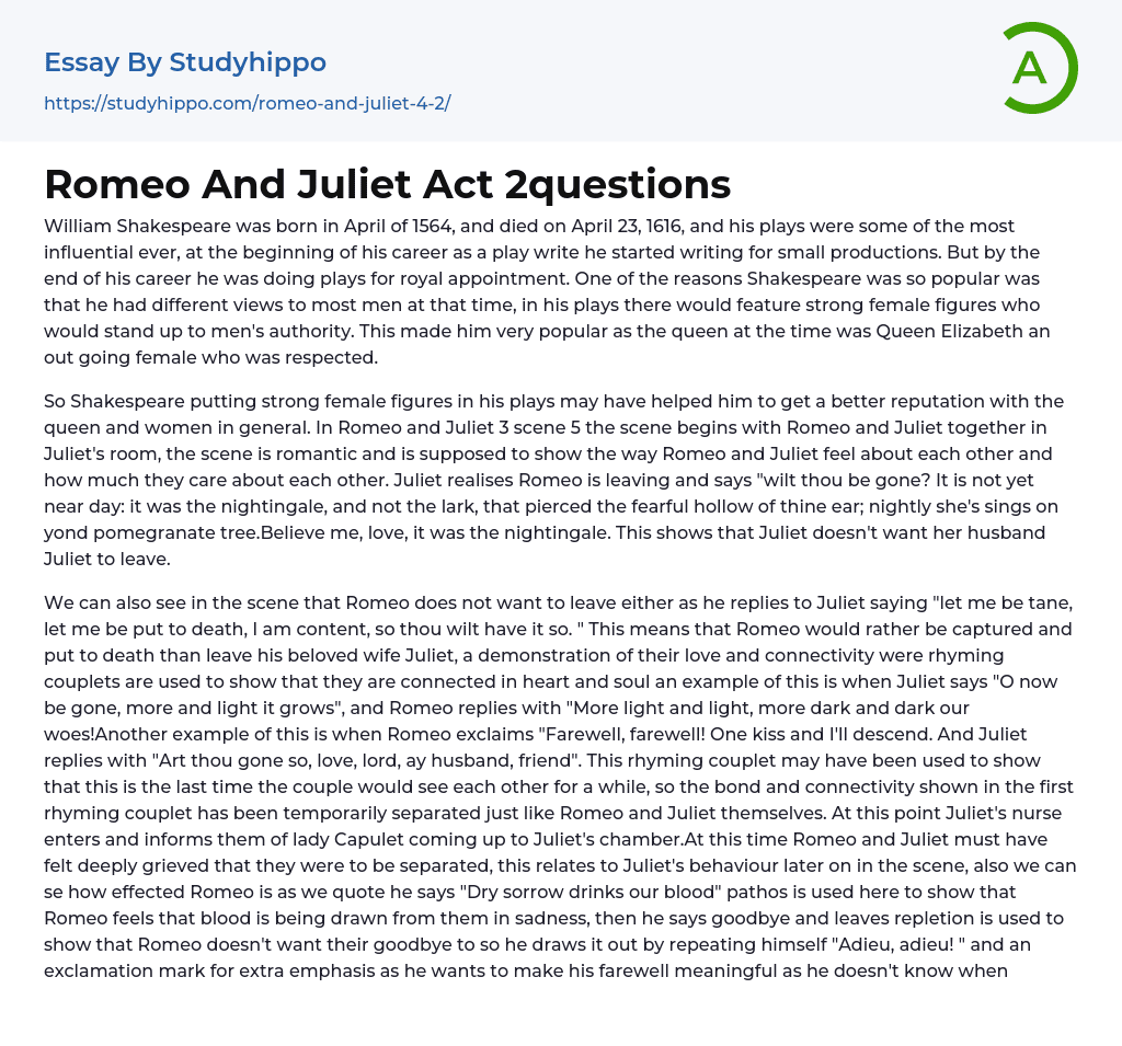 Romeo And Juliet Act 2questions Essay Example