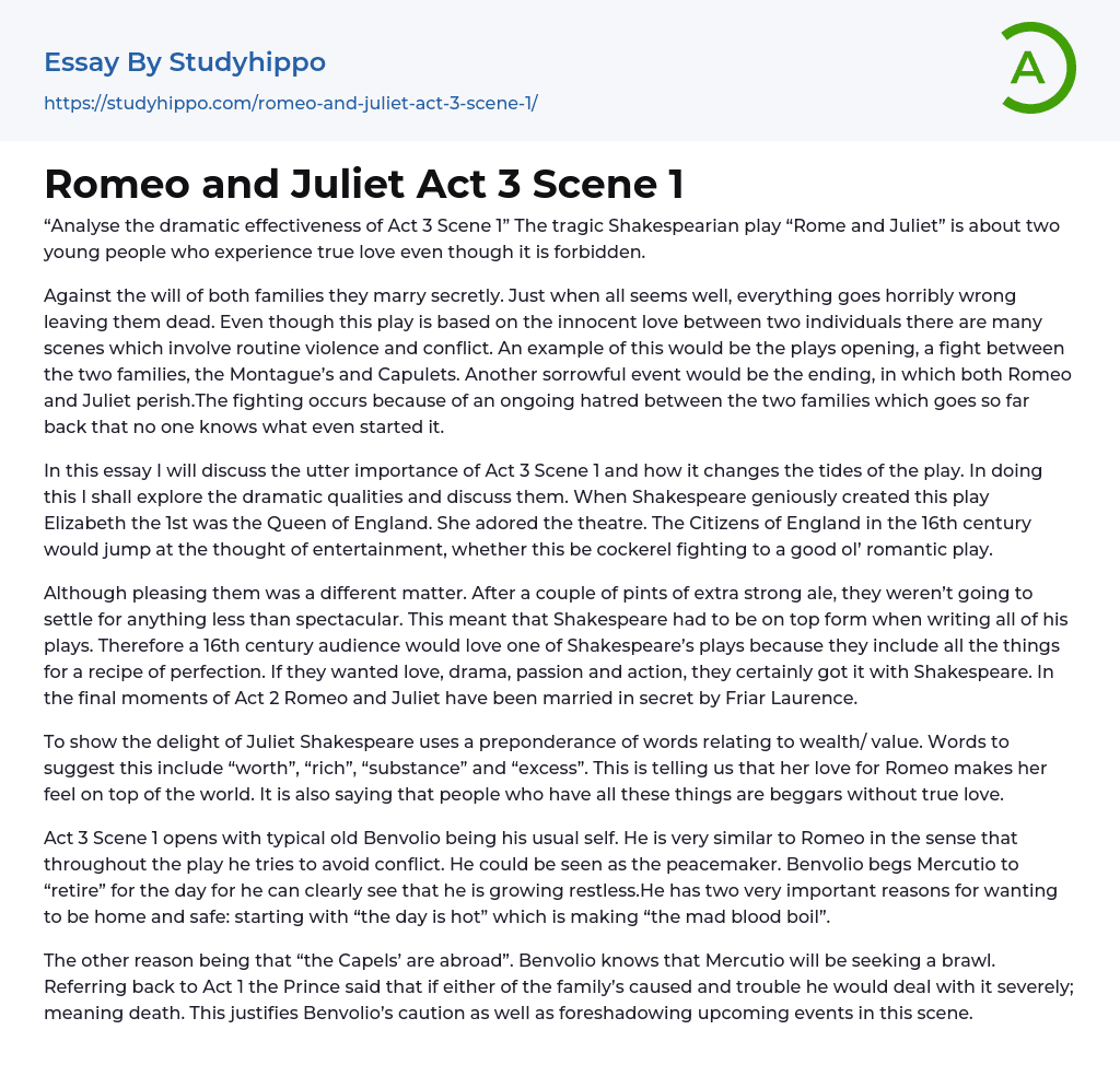 Romeo and Juliet Act 3 Scene 1 Essay Example
