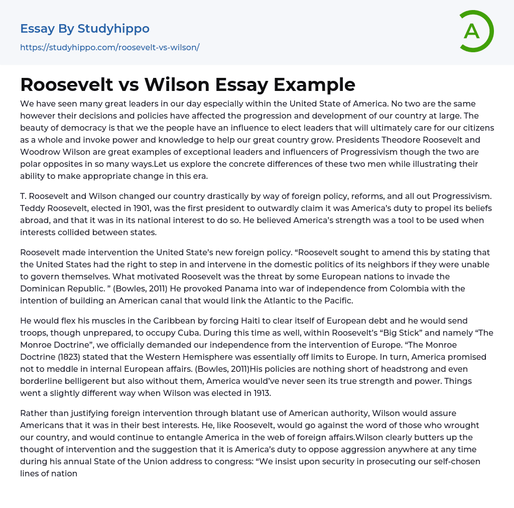 Roosevelt vs Wilson Essay Example