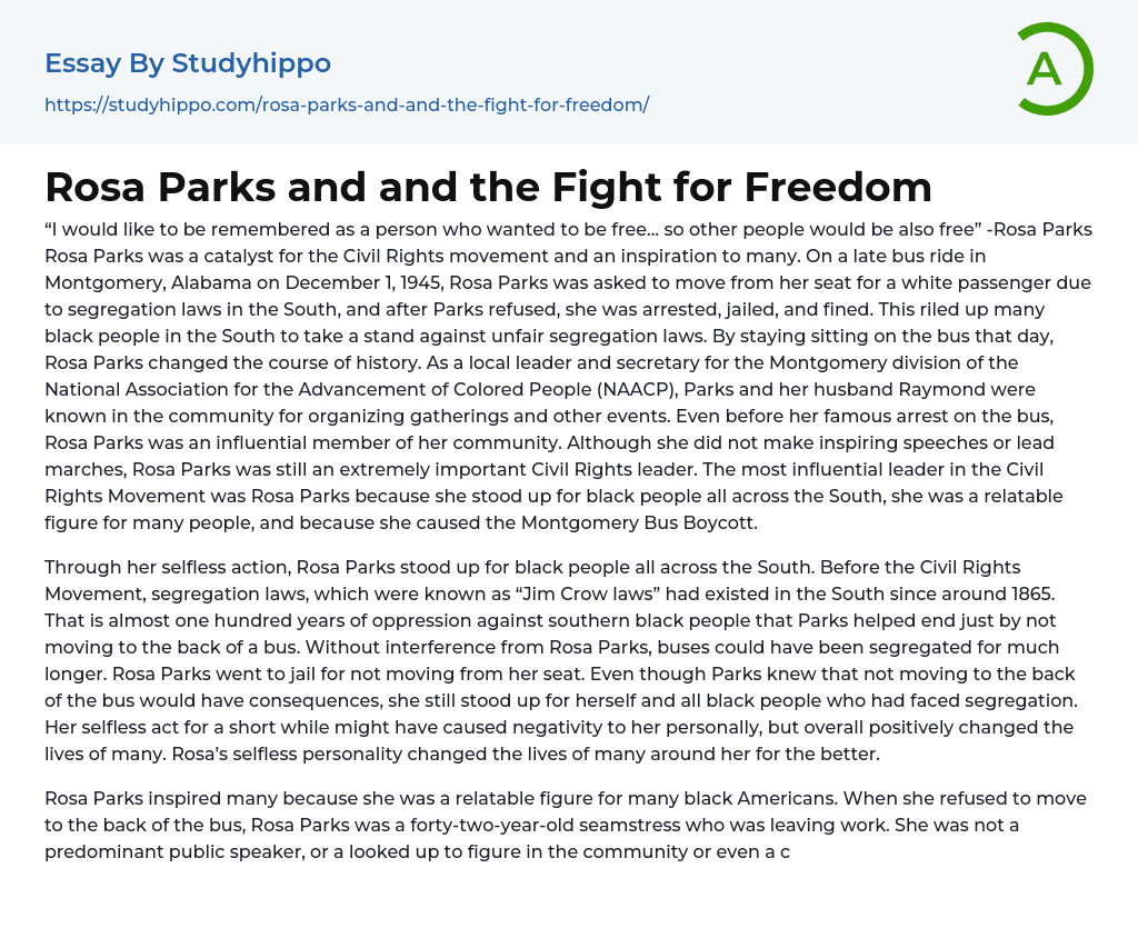 Rosa Parks and and the Fight for Freedom Essay Example