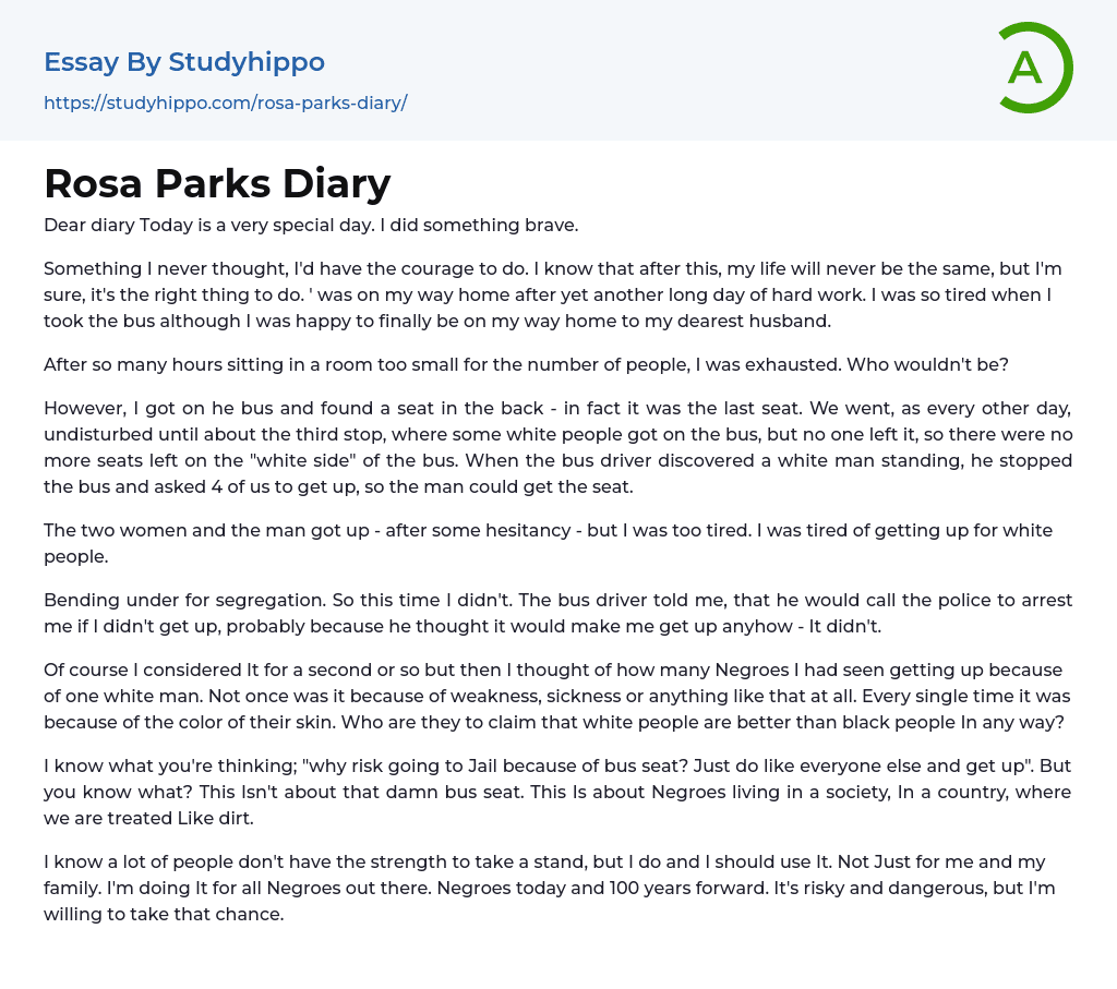 Rosa Parks Diary Essay Example