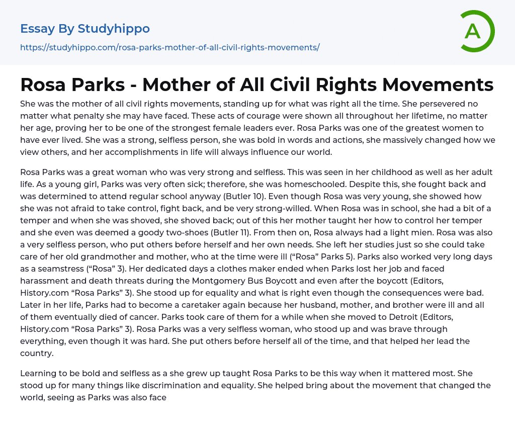 Rosa Parks – Mother of All Civil Rights Movements Essay Example
