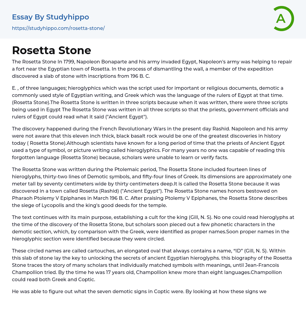 Rosetta Stone Essay Example