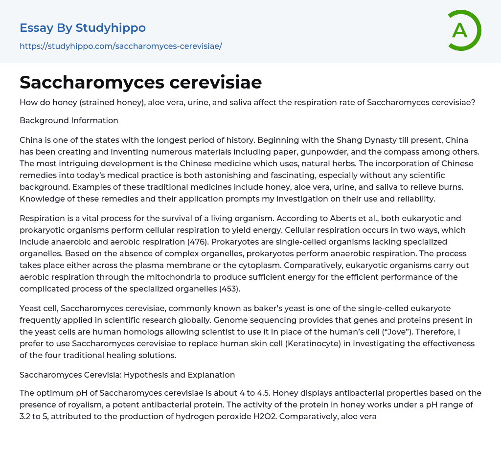 Saccharomyces cerevisiae Essay Example