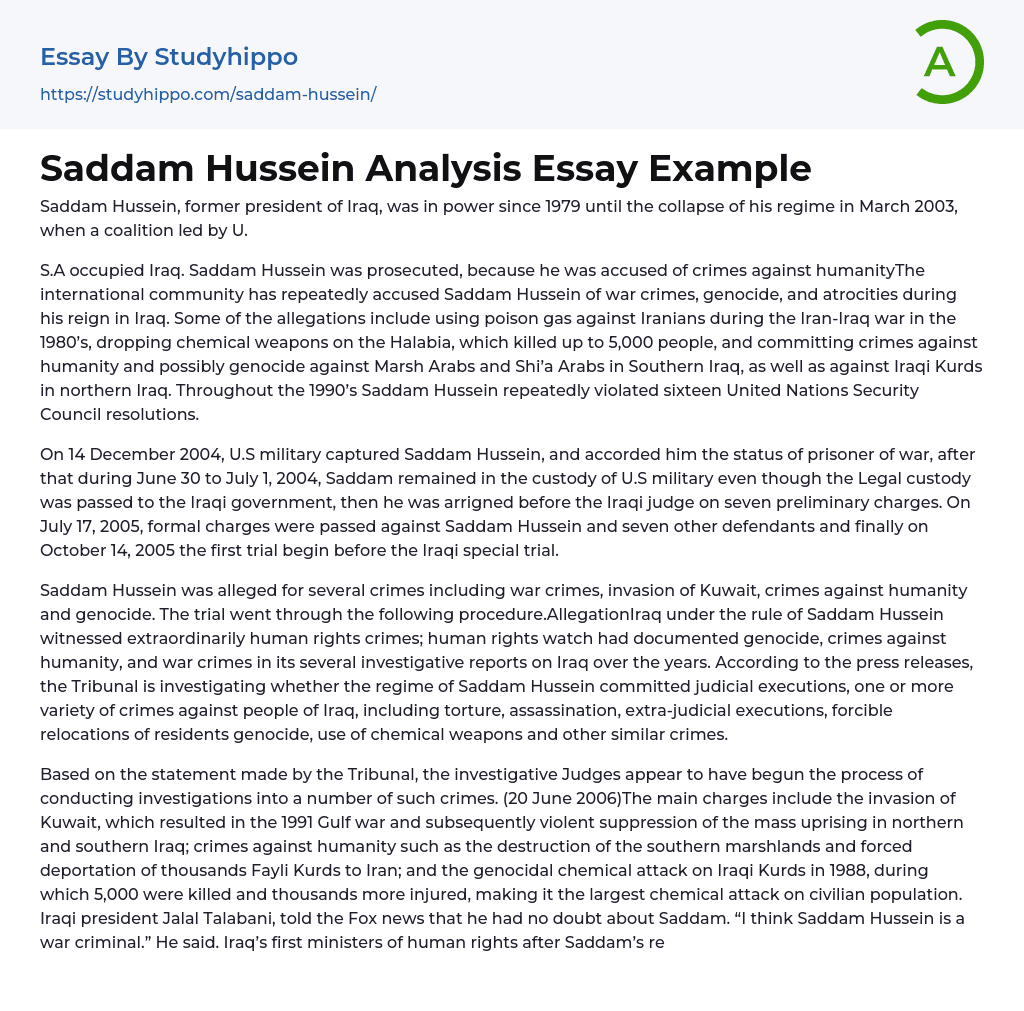 Saddam Hussein Analysis Essay Example