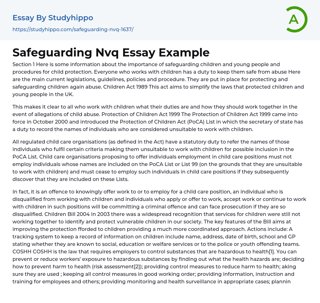 Safeguarding Nvq Essay Example