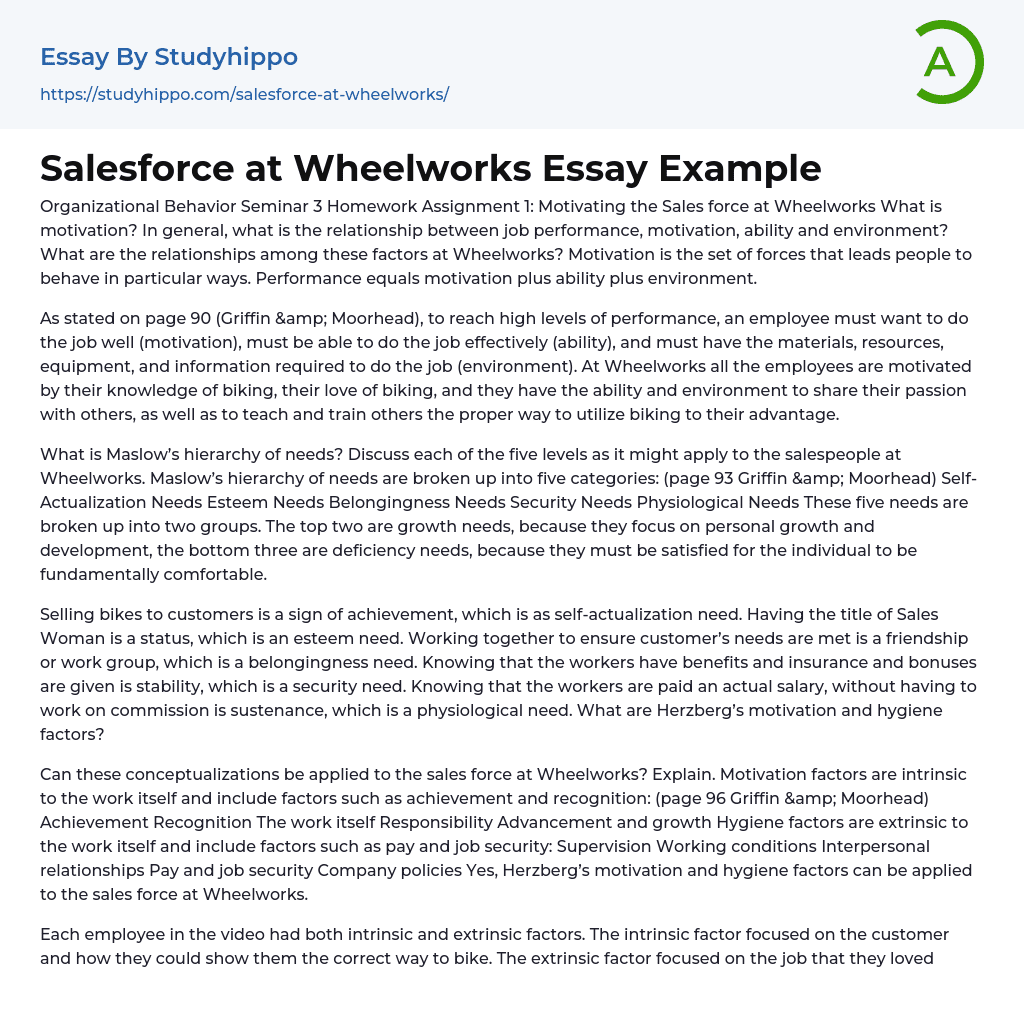 Salesforce at Wheelworks Essay Example