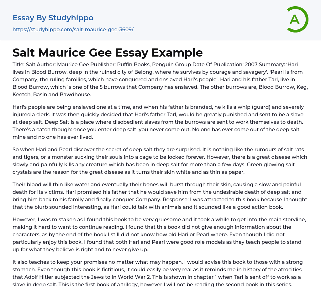 Salt Maurice Gee Essay Example