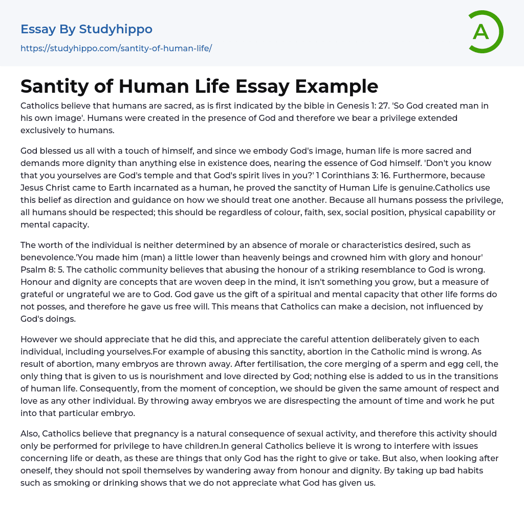 Santity of Human Life Essay Example