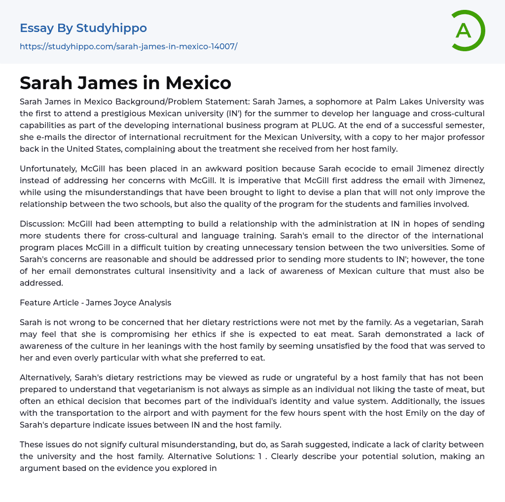 Sarah James in Mexico Essay Example