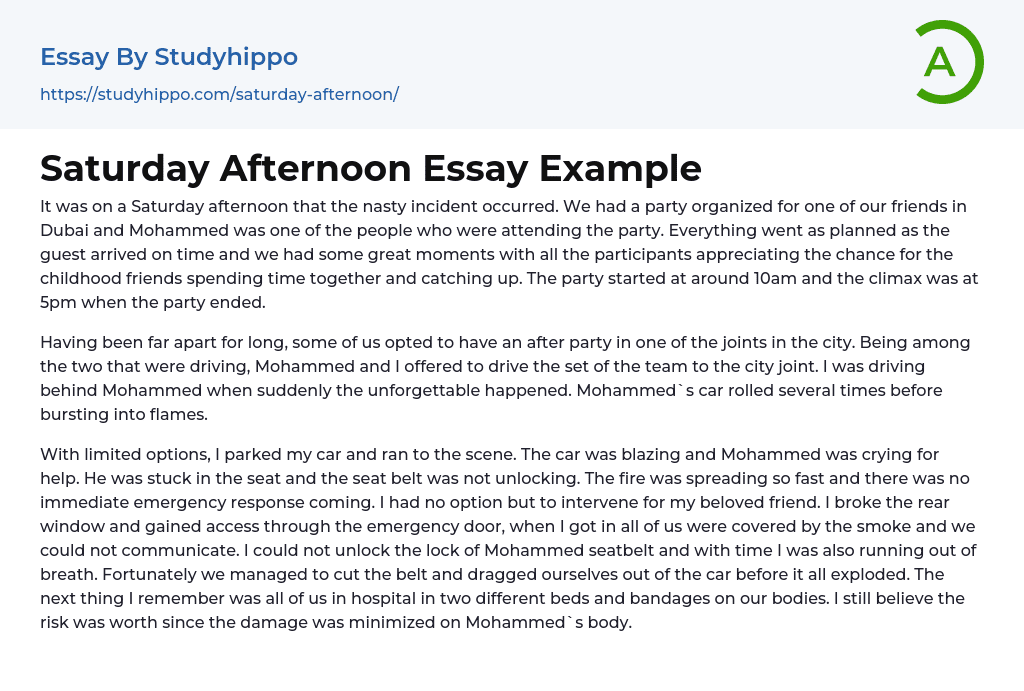 Saturday Afternoon Essay Example