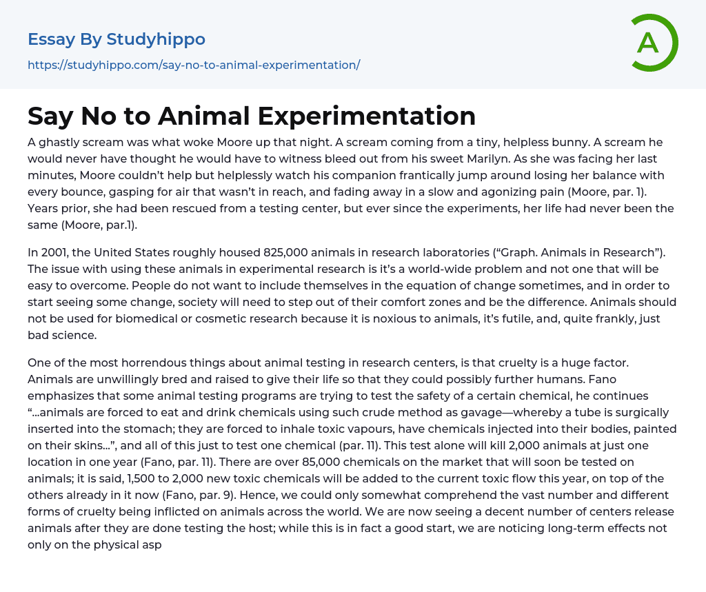 Say No to Animal Experimentation Essay Example