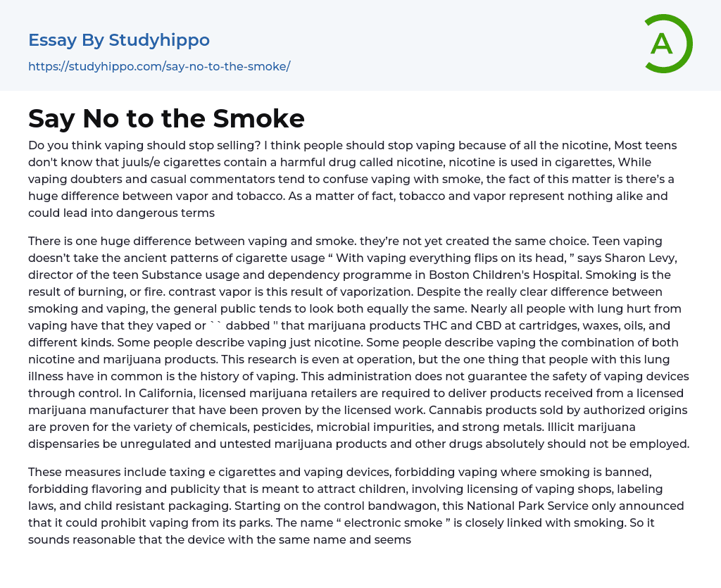 Say No to the Smoke Essay Example