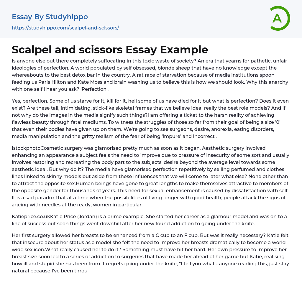 Scalpel and scissors Essay Example