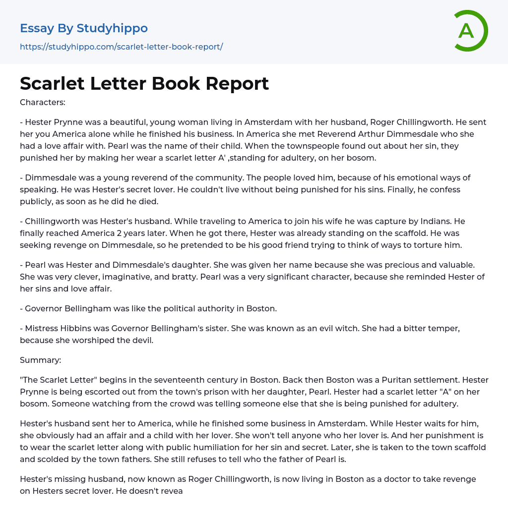 Scarlet Letter Book Report Essay Example