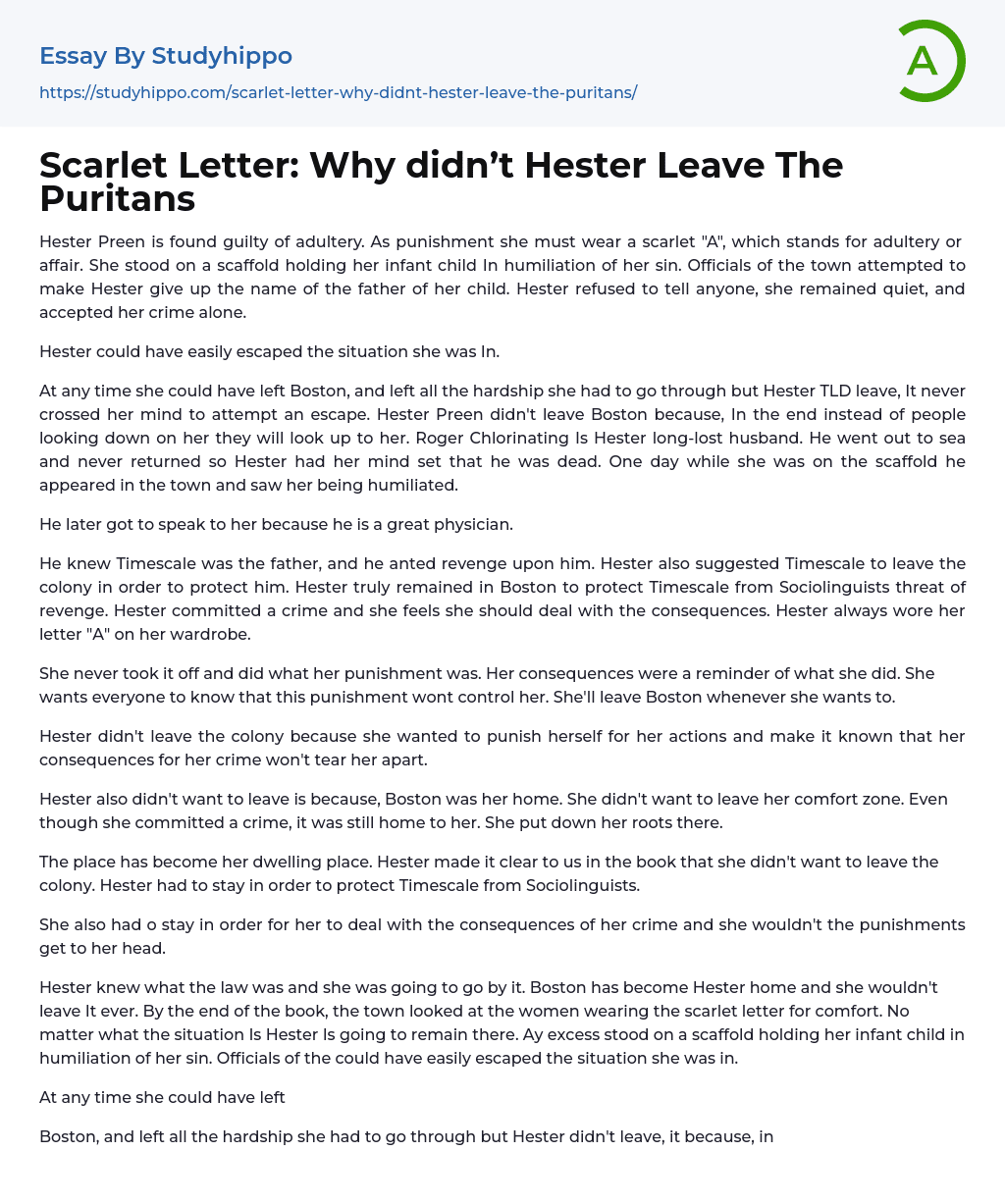 Scarlet Letter: Why didn’t Hester Leave The Puritans Essay Example
