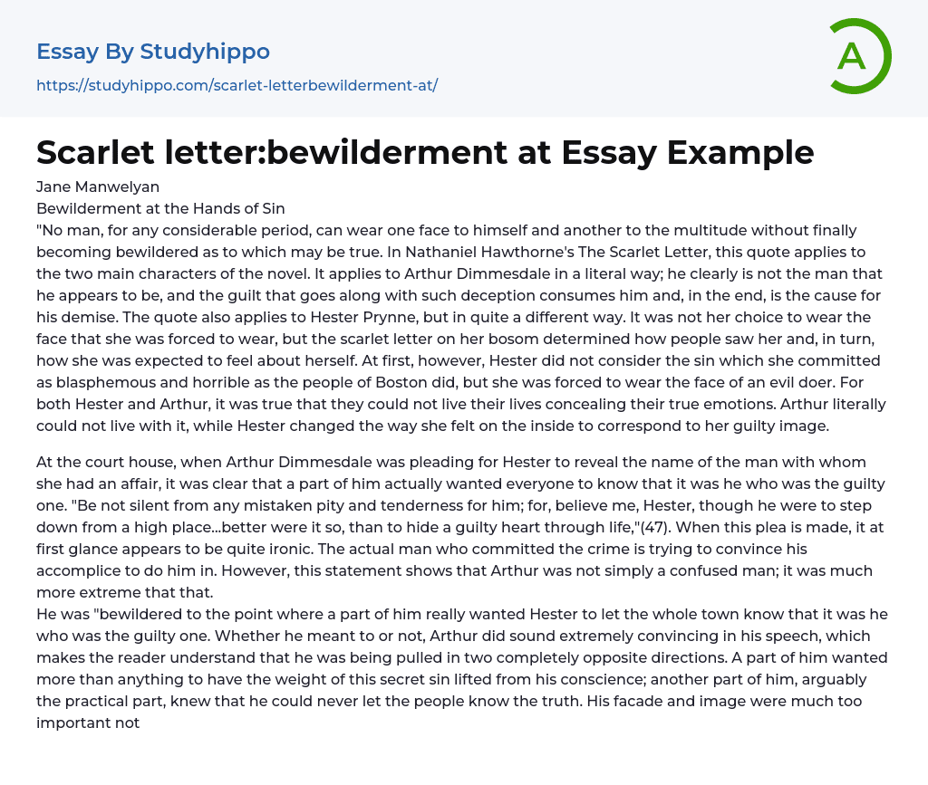 Scarlet letter:bewilderment at Essay Example