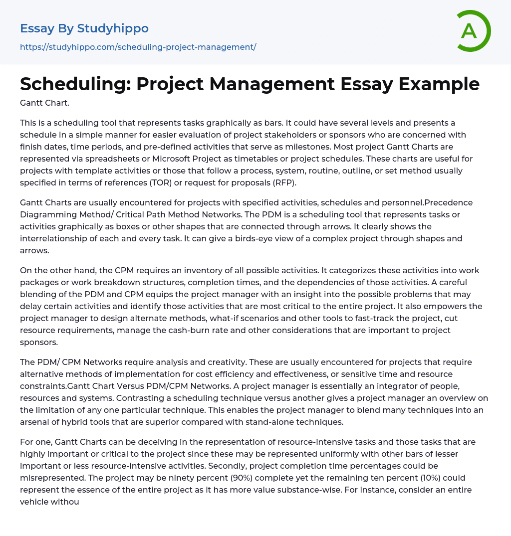 project management essay pdf